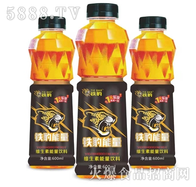 �F�������S�����������