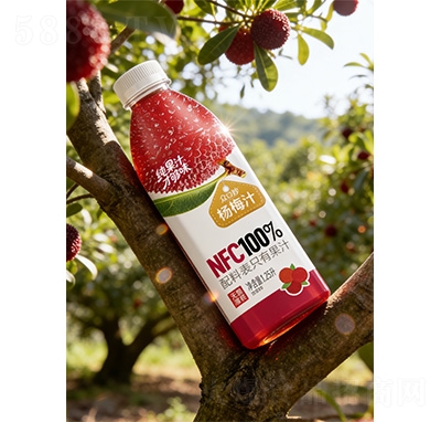 ������NFC100%��÷֭1.25L